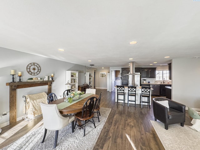 dining room featuring sink and dark wood-type flooring