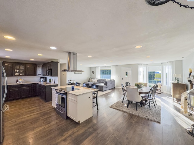 kitchen with dark hardwood / wood-style flooring, dark brown cabinets, stainless steel appliances, and island exhaust hood