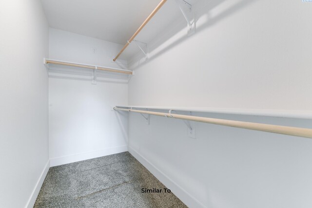 2880 S Osborne St, Kennewick, WA 99338 - walk in closet with carpet floors