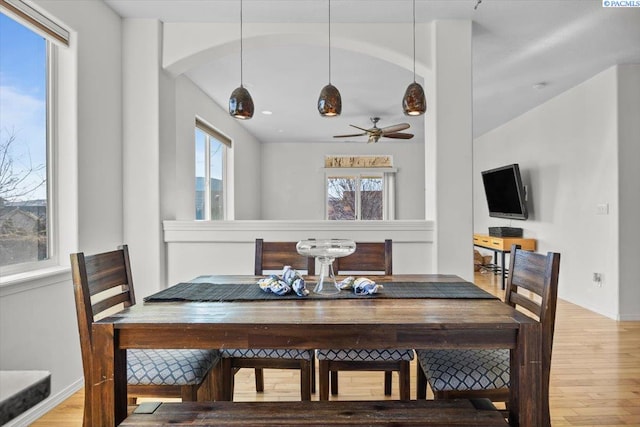 dining room with wood finished floors, arched walkways, baseboards, and ceiling fan
