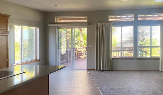 2665 Maidstone St, Richland, WA 99354 - doorway featuring plenty of natural light and tile patterned floors