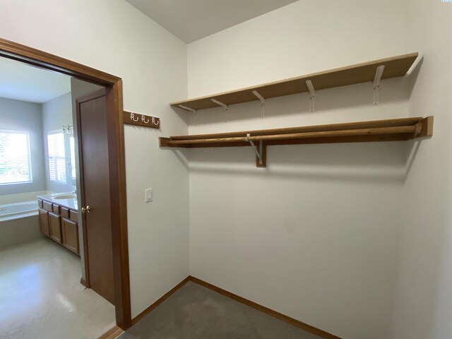 2665 Maidstone St, Richland, WA 99354 - view of walk in closet