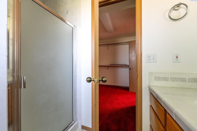 97010 W Good Rd, Prosser, WA 99350 - bathroom featuring a shower stall, vanity, and a walk in closet