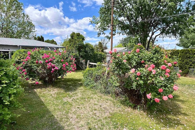 view of yard