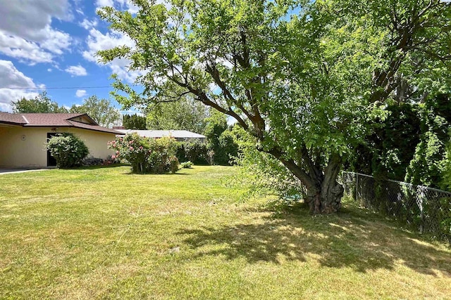 view of yard