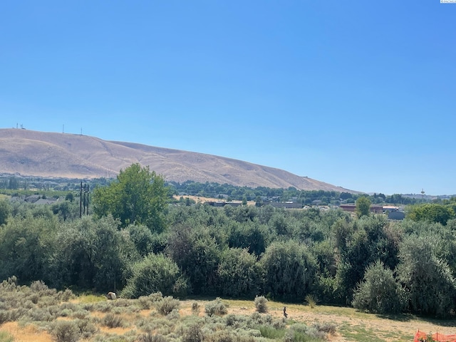 1671 Jericho Rd, Richland, WA 99352 - photo 33