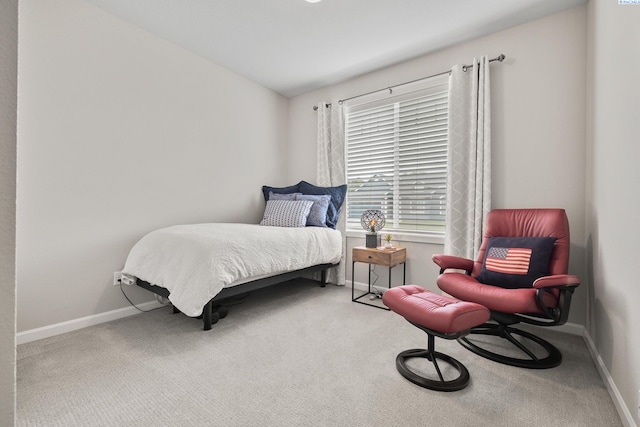 bedroom featuring carpet flooring