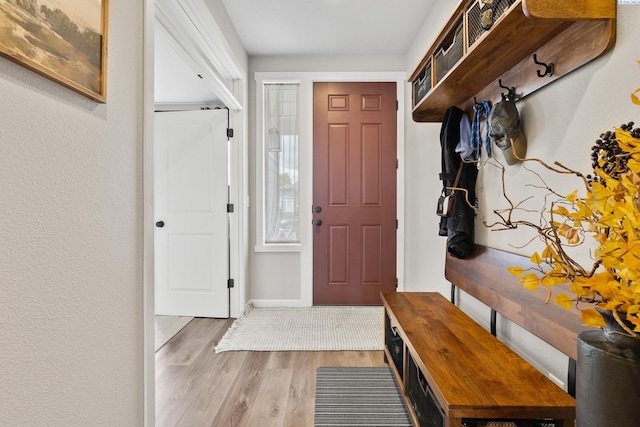 mudroom featuring hardwood / wood-style floors