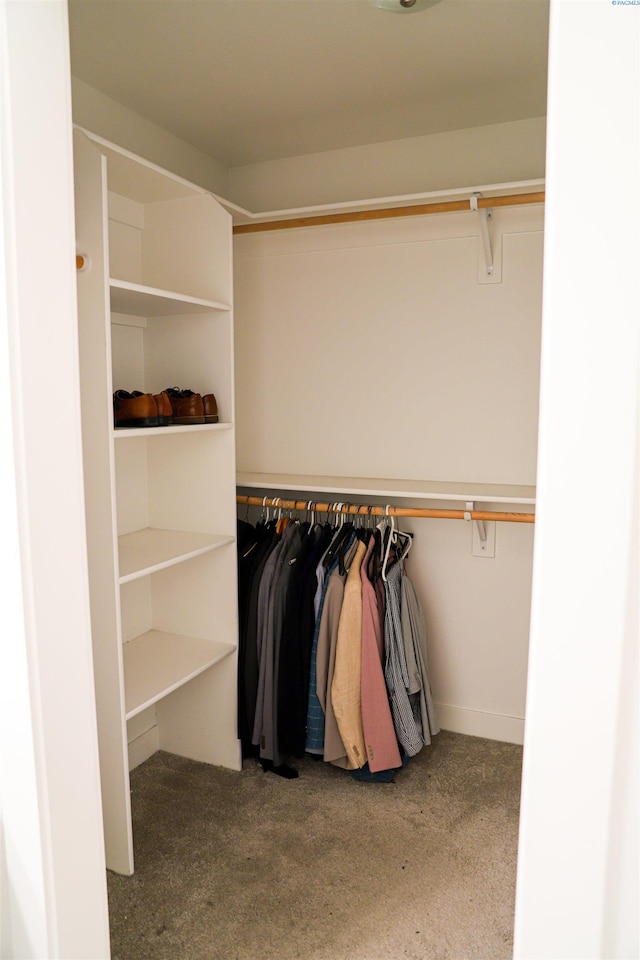 spacious closet featuring light colored carpet