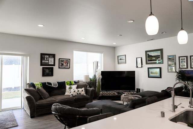 living room with sink and hardwood / wood-style floors