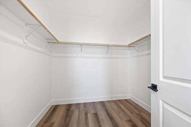 spacious closet with wood finished floors