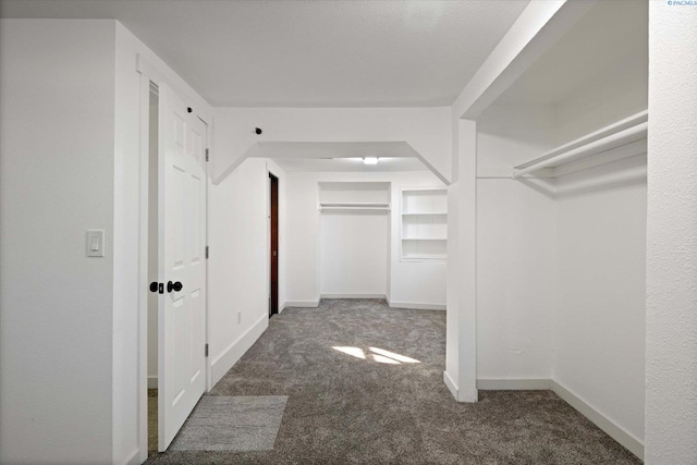 walk in closet with carpet