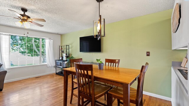 316 S Quillan St, Kennewick, WA 99336 - photo 7