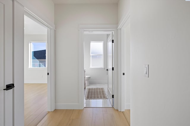 hall featuring plenty of natural light, light wood-type flooring, and baseboards