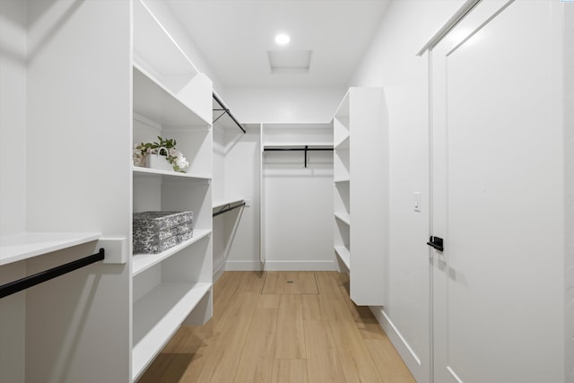 walk in closet with attic access and light wood-style floors