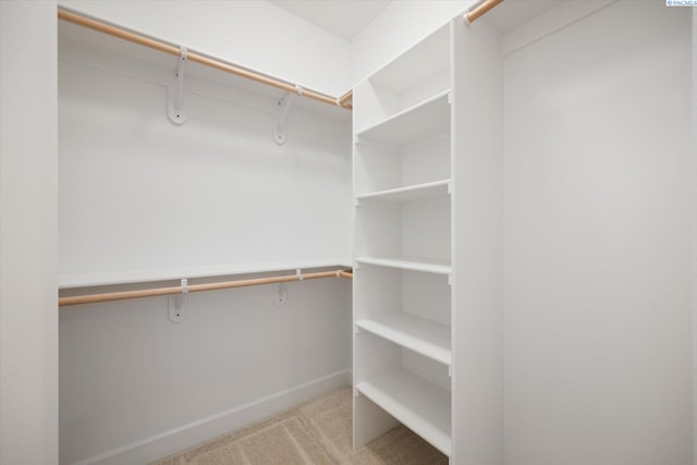 spacious closet with light carpet