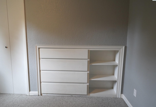 610 Dilke St, Pullman, WA 99163 - view of closet