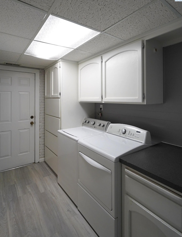 610 Dilke St, Pullman, WA 99163 - washroom with cabinet space, washer and clothes dryer, and light wood-type flooring