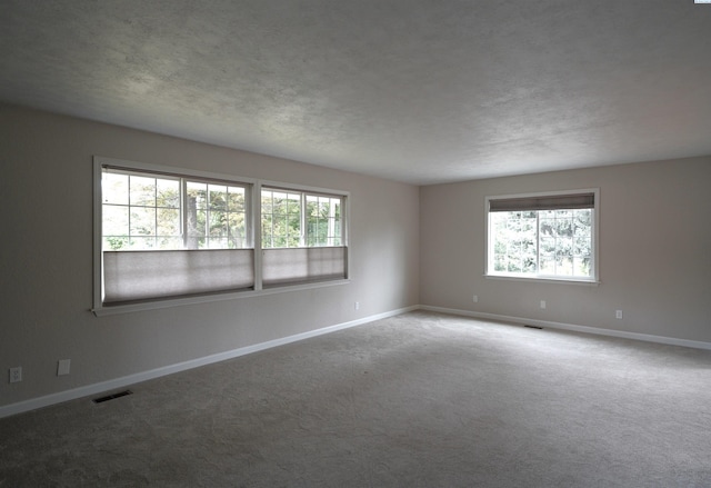 610 Dilke St, Pullman, WA 99163 - unfurnished room featuring healthy amount of natural light, carpet floors, and a textured ceiling