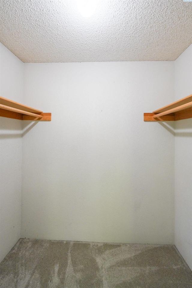 610 Dilke St, Pullman, WA 99163 - spacious closet with carpet floors