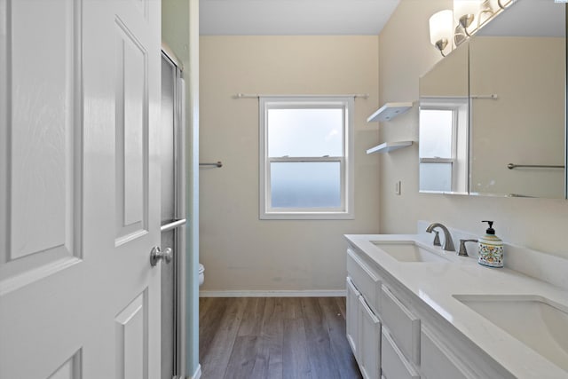 bathroom featuring vanity, wood-type flooring, and toilet