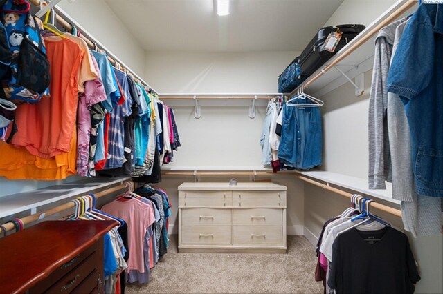 3763 S Sherman St, Kennewick, WA 99338 - walk in closet featuring carpet floors