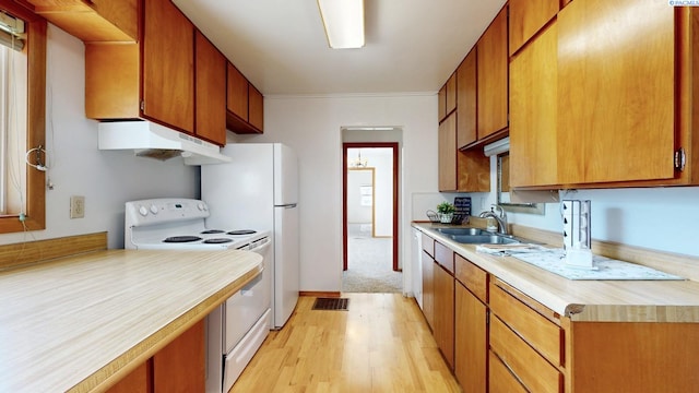 912 S Alder St, Kennewick, WA 99336 - kitchen featuring white electric range oven, under cabinet range hood, light wood-style floors, and light countertops