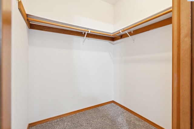 6 Dahlia Ct, Pasco, WA 99301 - photo 20