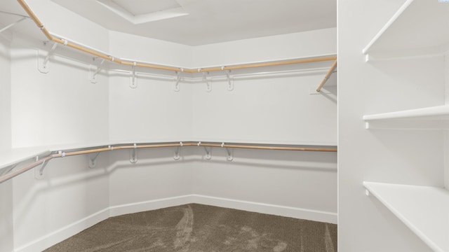 76704 E Timothy Ln, Kennewick, WA 99338 - walk in closet featuring carpet floors