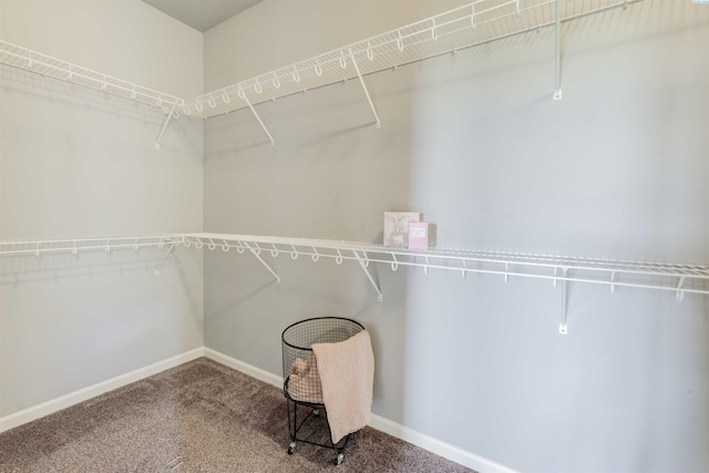 3915 Charleston Ln, Pasco, WA 99301 - spacious closet with carpet floors