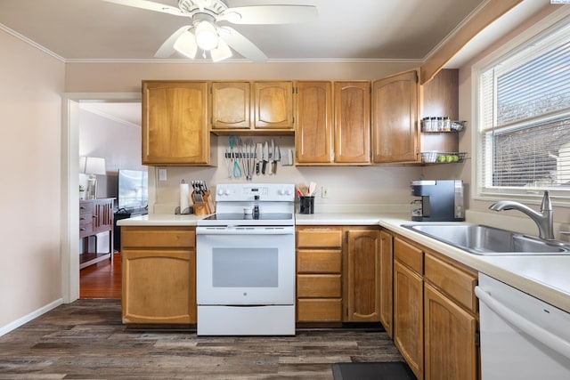 kitchen featuring sink, crown molding, ceiling fan, dark hardwood / wood-style floors, and white appliances