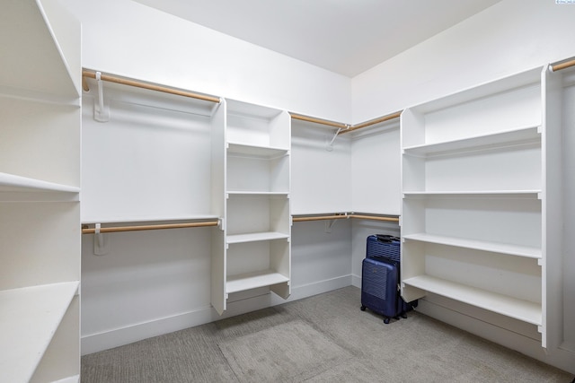 540 Athens Dr, West Richland, WA 99353 - spacious closet with carpet floors