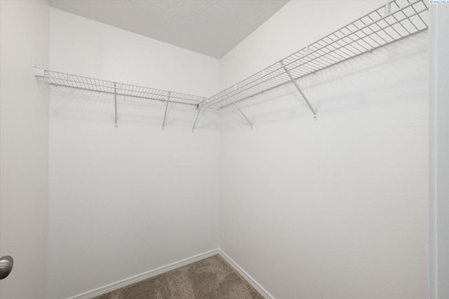 6415 Three Rivers Dr, Pasco, WA 99301 - photo 24