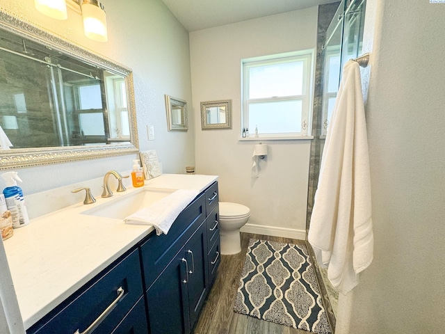 bathroom with vanity, hardwood / wood-style flooring, a shower with shower door, and toilet