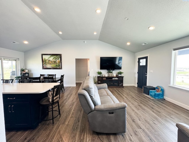 living room featuring lofted ceiling, hardwood / wood-style floors, and a textured ceiling