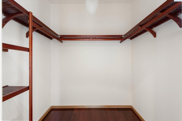 walk in closet with wood-type flooring