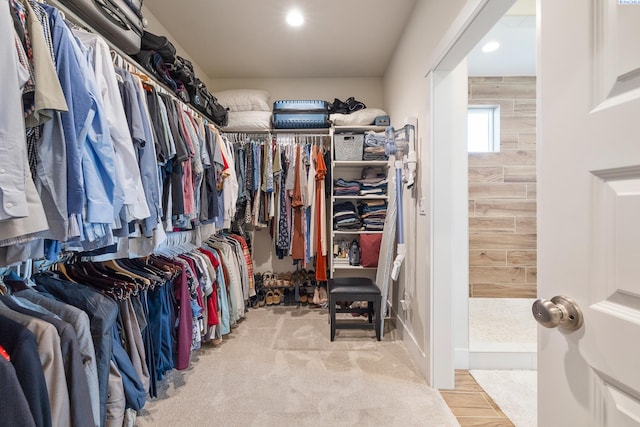 view of spacious closet