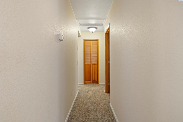 hallway featuring a textured wall, carpet flooring, attic access, and baseboards