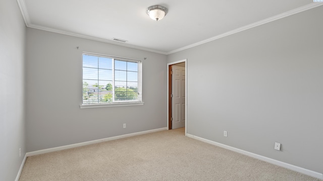327 Palm Dr, Richland, WA 99352 - photo 22