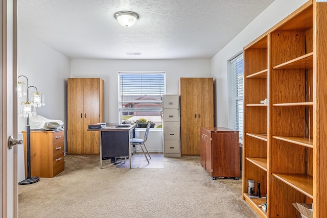6110 Westport Ln, Pasco, WA 99301 - office area with carpet and a textured ceiling