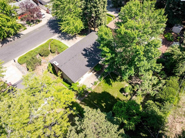1835 NW Deane St, Pullman, WA 99163 - bird's eye view