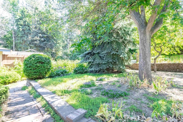 1835 NW Deane St, Pullman, WA 99163 - view of yard