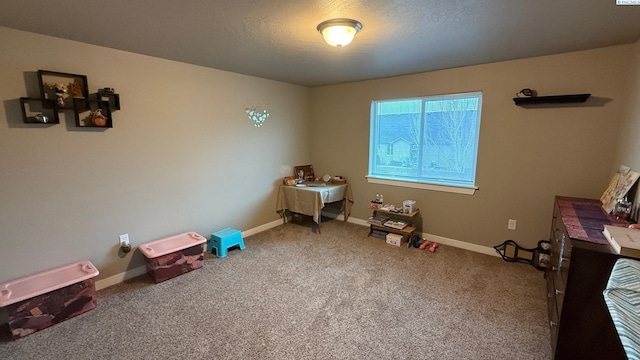 miscellaneous room featuring carpet flooring and a textured ceiling