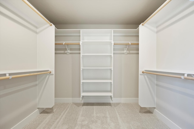 spacious closet with carpet