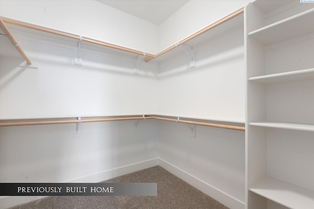 spacious closet featuring carpet