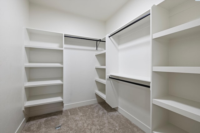 walk in closet with carpet floors