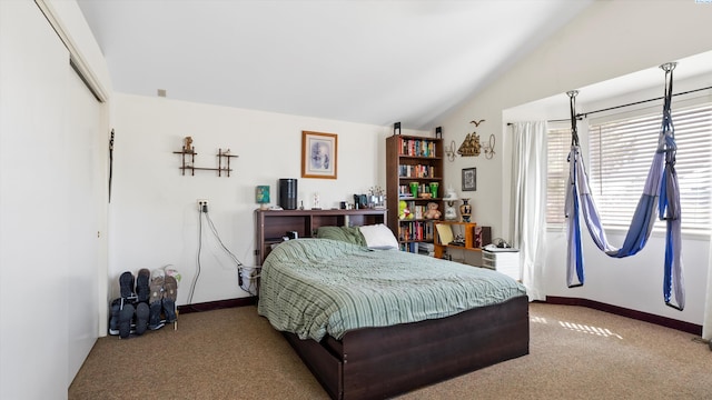 2113 Rainier Ave, Richland, WA 99354 - carpeted bedroom with baseboards, lofted ceiling, and a closet