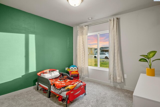 405 Whitefish Ln, Pasco, WA 99301 - bedroom with carpet flooring and baseboards