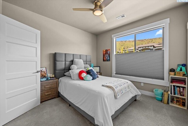 1620 Genoa Ln, Richland, WA 99352 - photo 23