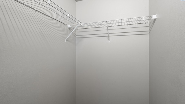 414 Whitefish Ln, Pasco, WA 99301 - view of walk in closet